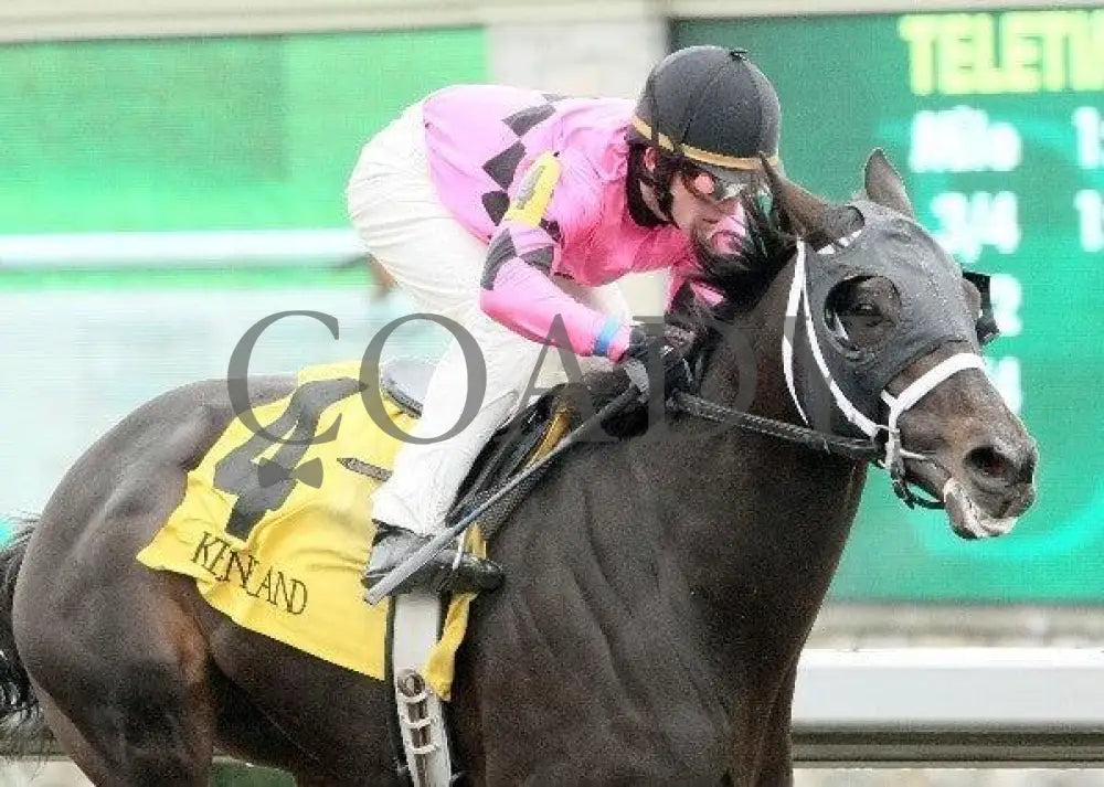 Photo Shoot - 3 102811 Race 04 Keeneland