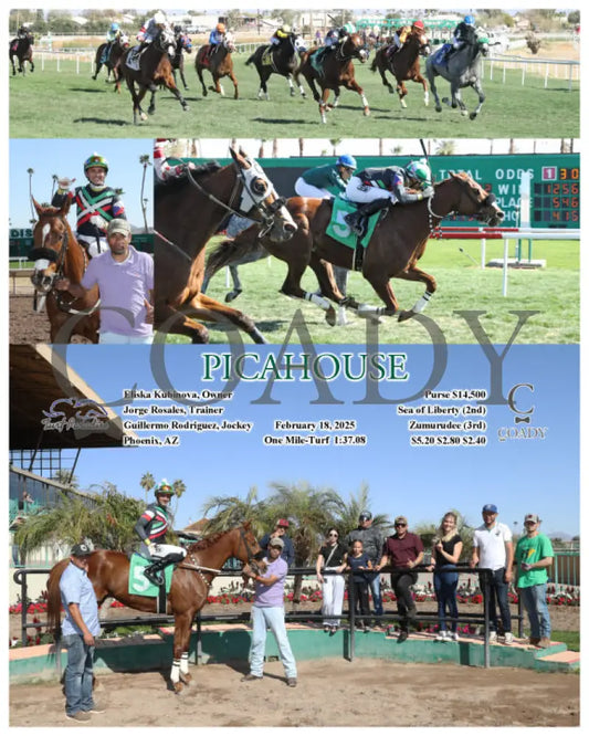 PICAHOUSE - 02-18-25 - R04 - TUP Turf Paradise