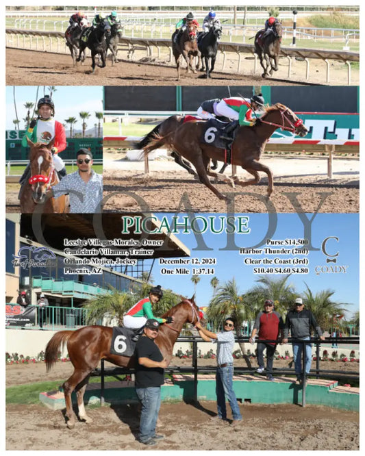 Picahouse - 12-12-24 R03 Tup Turf Paradise