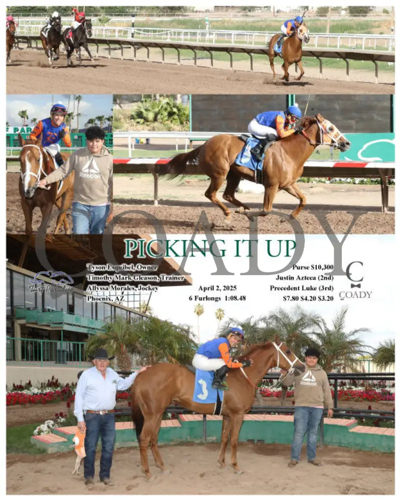 PICKING IT UP - 04-02-25 - R09 - TUP Turf Paradise