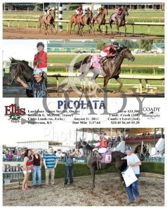 Picolata - 083114 Race 09 Elp Ellis Park