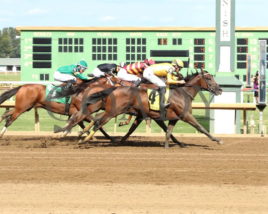 Pigalle - The Groupie Doll 43Rd Running 08-11-24 R10 Elp Finish 01 Ellis Park
