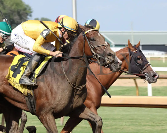 Pigalle - The Groupie Doll 43Rd Running 08-11-24 R10 Elp Finish 02 Ellis Park