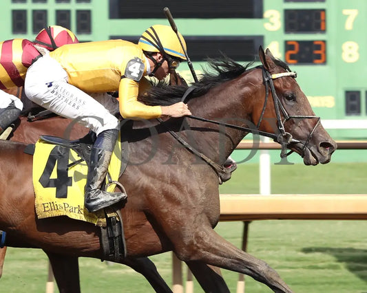 Pigalle - The Groupie Doll 43Rd Running 08-11-24 R10 Elp Finish 03 Ellis Park