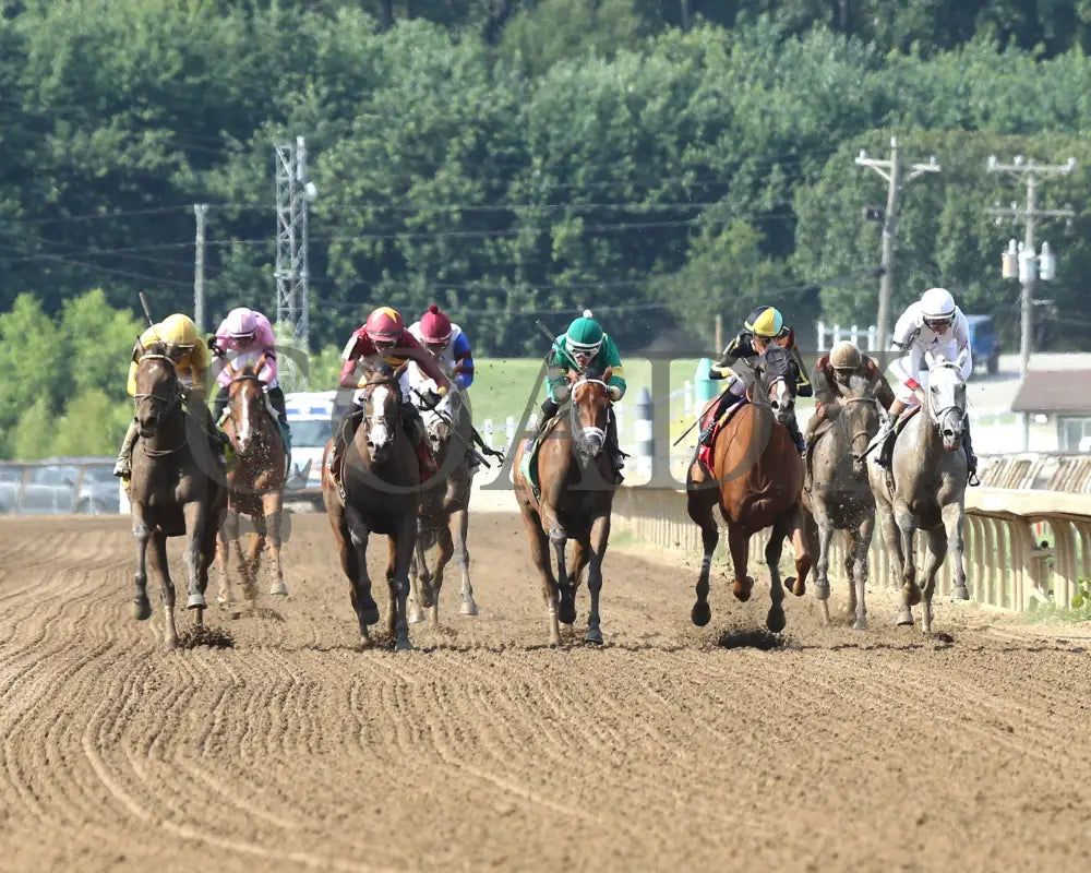 Pigalle - The Groupie Doll 43Rd Running 08-11-24 R10 Elp Head On 01 Ellis Park