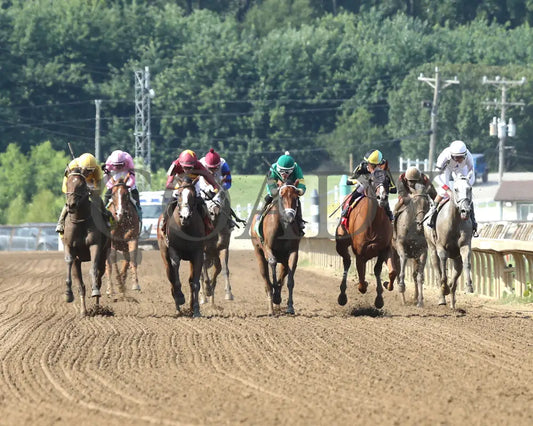 Pigalle - The Groupie Doll 43Rd Running 08-11-24 R10 Elp Head On 01 Ellis Park