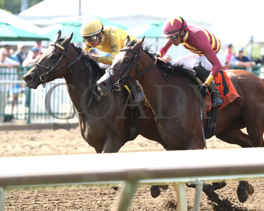 Pigalle - The Groupie Doll 43Rd Running 08-11-24 R10 Elp Inside Finish 02 Ellis Park