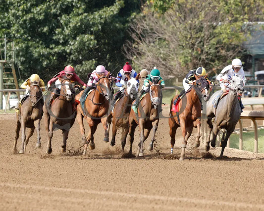 Pigalle - The Groupie Doll 43Rd Running 08-11-24 R10 Elp Turn 01 Ellis Park