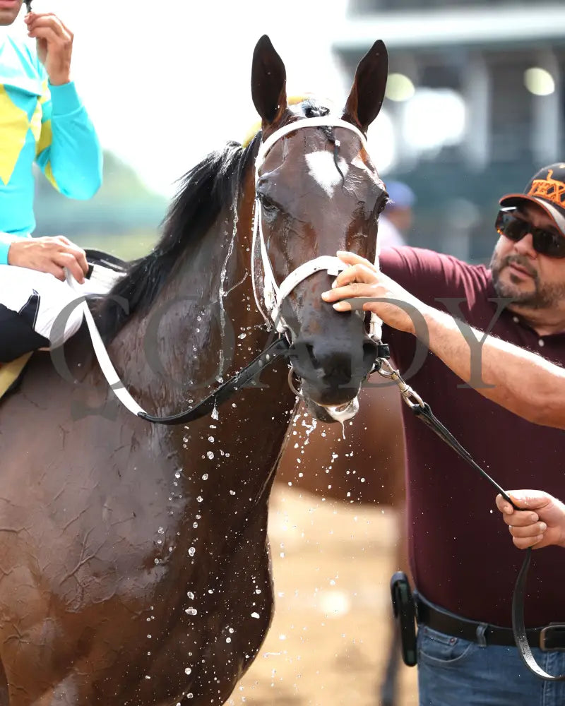 PIN UP BETTY - 062925 - Race 09 - CD - Come Back 03 Churchill Downs
