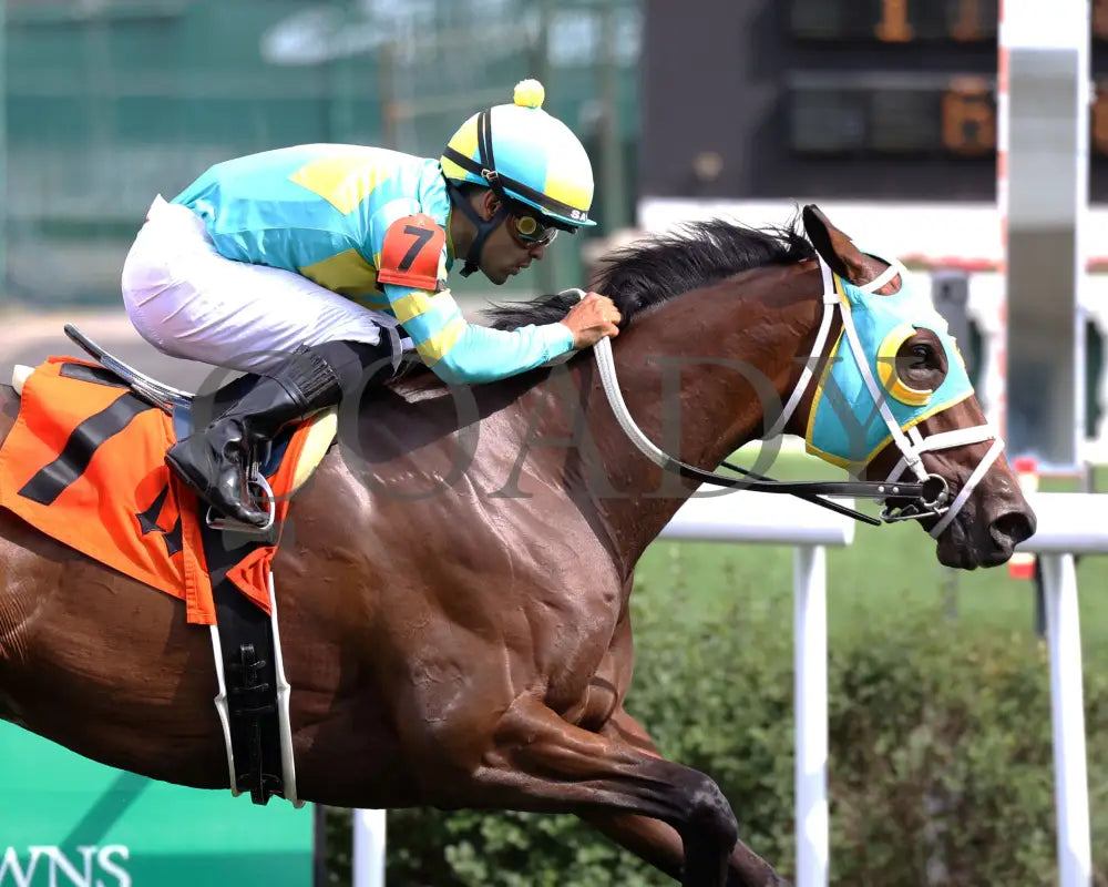 PIN UP BETTY - 062925 - Race 09 - CD - Tight Finish 01 Churchill Downs