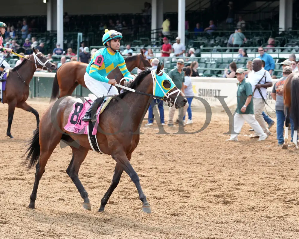 PIN UP BETTY - The Old Forester Mint Julep G3 - 060125 - Race 09 - CD - Come Back 01 Churchill Downs