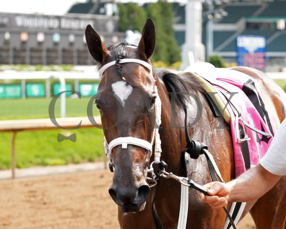 PIN UP BETTY - The Old Forester Mint Julep G3 - 060125 - Race 09 - CD - Come Back 02 Churchill Downs