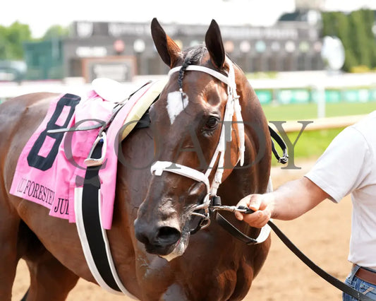 PIN UP BETTY - The Old Forester Mint Julep G3 - 060125 - Race 09 - CD - Come Back 03 Churchill Downs