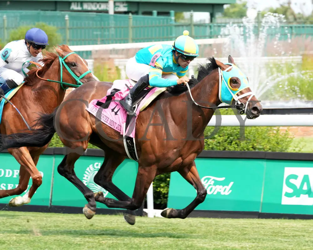 PIN UP BETTY - The Old Forester Mint Julep G3 - 060125 - Race 09 - CD - Finish 02 Churchill Downs