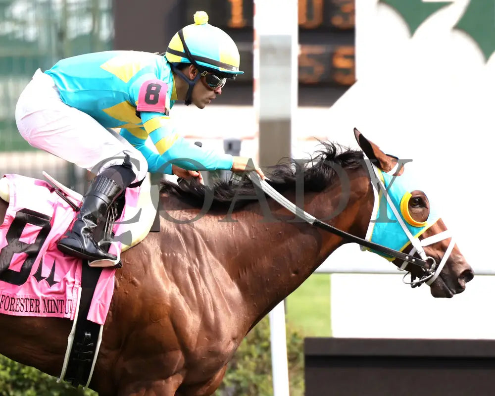 PIN UP BETTY - The Old Forester Mint Julep G3 - 060125 - Race 09 - CD - Tight Finish 01 Churchill Downs