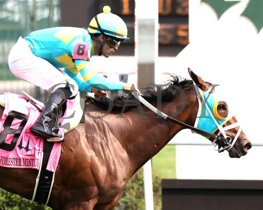 PIN UP BETTY - The Old Forester Mint Julep G3 - 060125 - Race 09 - CD - Tight Finish 01 Churchill Downs
