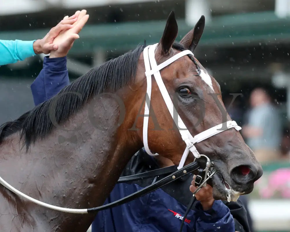 Pin Up Betty - The Regret G3 55Th Running 06-01-24 R09 Cd Come Back 02 Churchill Downs