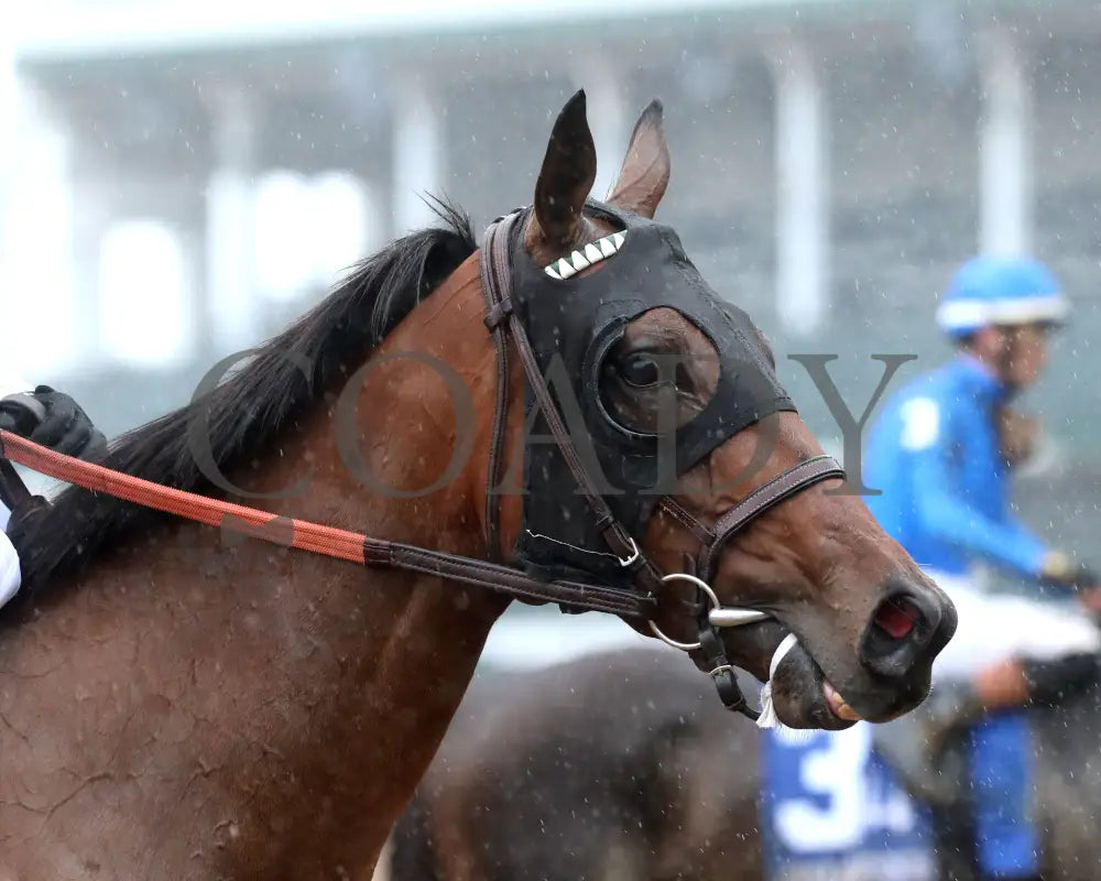 Pin Up Betty - The Regret G3 55Th Running 06-01-24 R09 Cd Come Back 03 Churchill Downs