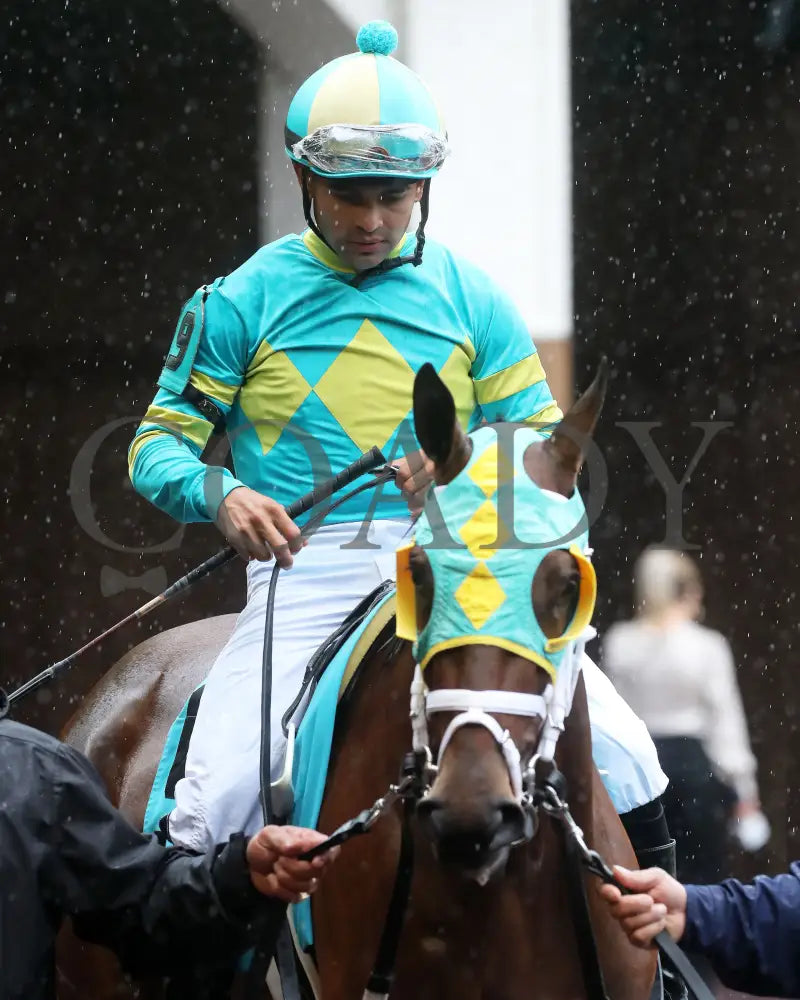 Pin Up Betty - The Regret G3 55Th Running 06-01-24 R09 Cd Paddock 01 Churchill Downs