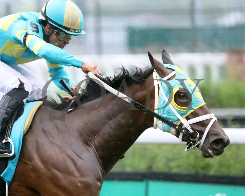 Pin Up Betty - The Regret G3 55Th Running 06-01-24 R09 Cd Tight Finish 01 Churchill Downs