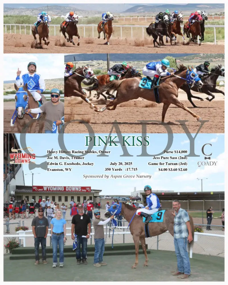 PINK KISS - 07-20-25 - R02 - WYO Wyoming Downs