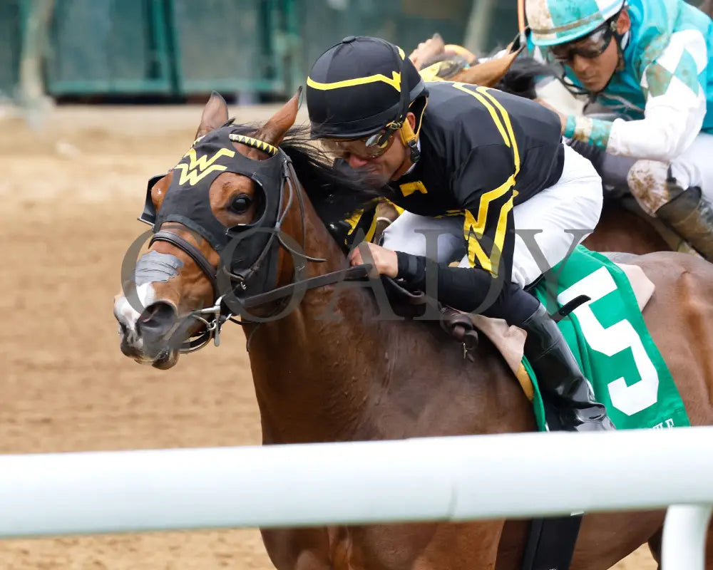 PINKY FINGER - 050125 - Race 06 - CD - Inside Finish 02 Churchill Downs