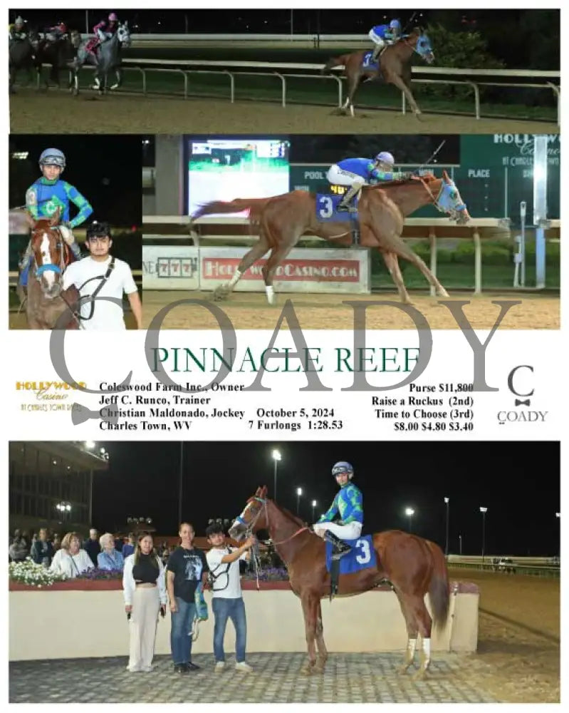 Pinnacle Reef - 10-05-24 R04 Ct Hollywood Casino At Charles Town Races
