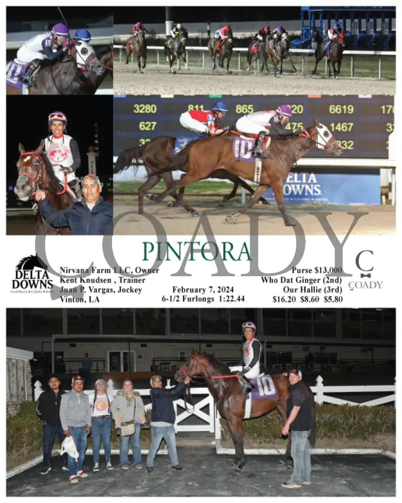 Pintora - 02 - 07 - 24 R05 Ded Delta Downs
