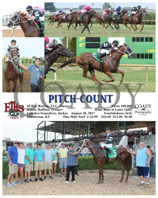 Pitch Count - 082017 Race 09 Elp Ellis Park
