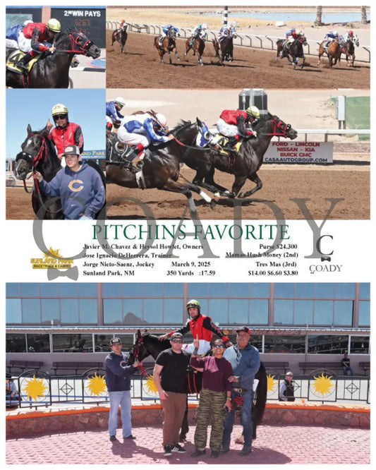 PITCHINS FAVORITE - 03-09-25 - R03 - SUN Sunland Park