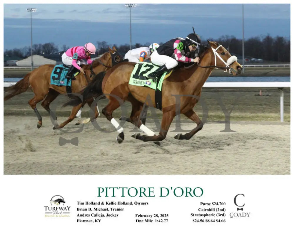 PITTORE D’ORO - 02-28-25 - R02 - TP - Action Turfway Park