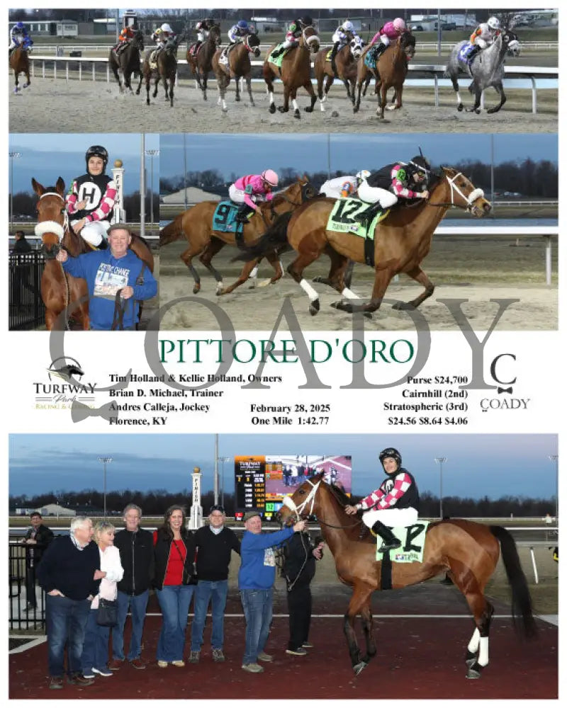 PITTORE D’ORO - 02-28-25 - R02 - TP Turfway Park