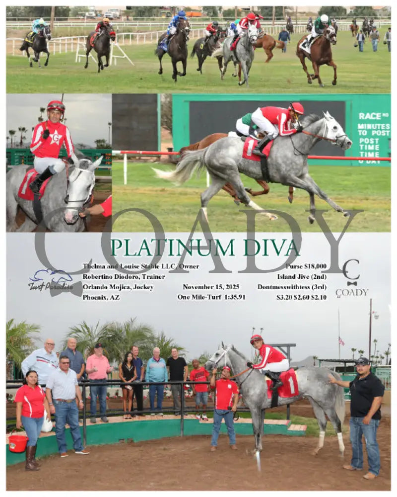 PLATINUM DIVA - 11-15-25 - R05 - TUP Turf Paradise
