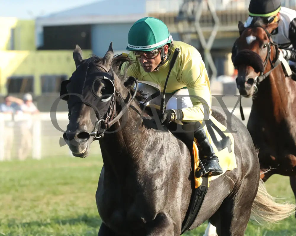 Play Action Pass - The Pepsi Gun Runner 1St Running 09-14-22 R10 Kd Inside Finish 01 Kentucky Downs