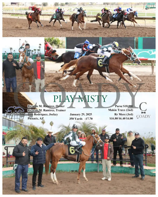 Play Misty - 01-29-25 R01 Tup Turf Paradise