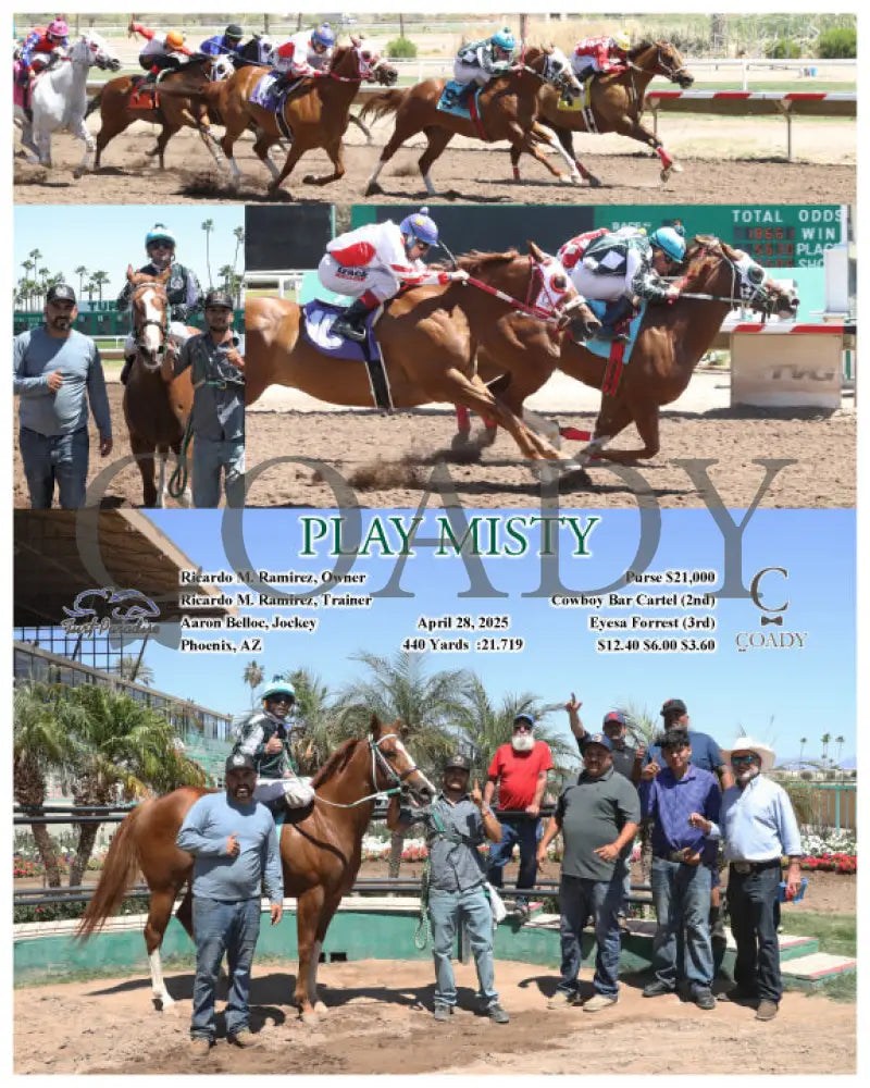 PLAY MISTY - 04-28-25 - R02 - TUP Turf Paradise