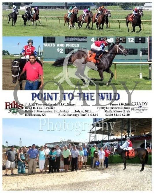 Point To The Wild - 070614 Race 07 Elp Ellis Park