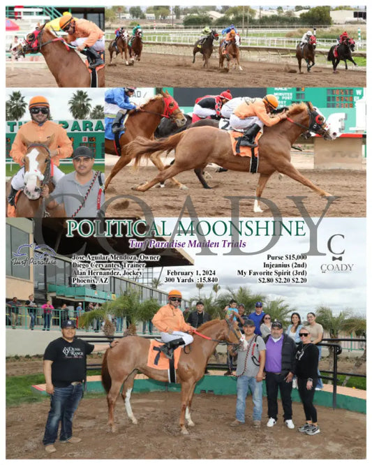 Political Moonshine - Turf Paradise Maiden Trials 02-01-24 R03 Tup