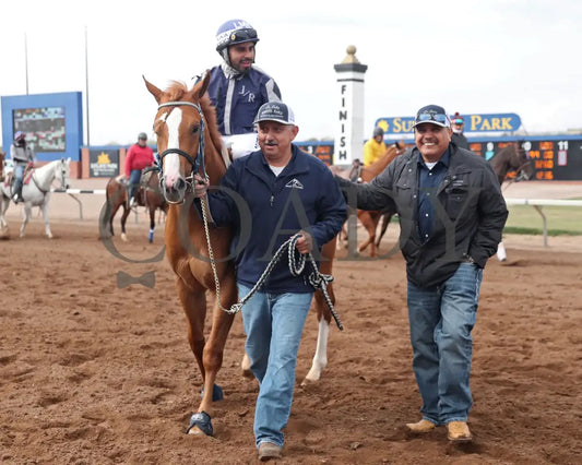 POLITICAL TWIST - West Texas Futurity-65th Running G2 - 04-05-25 - R10 - Sunland Park 001 Sunland Park