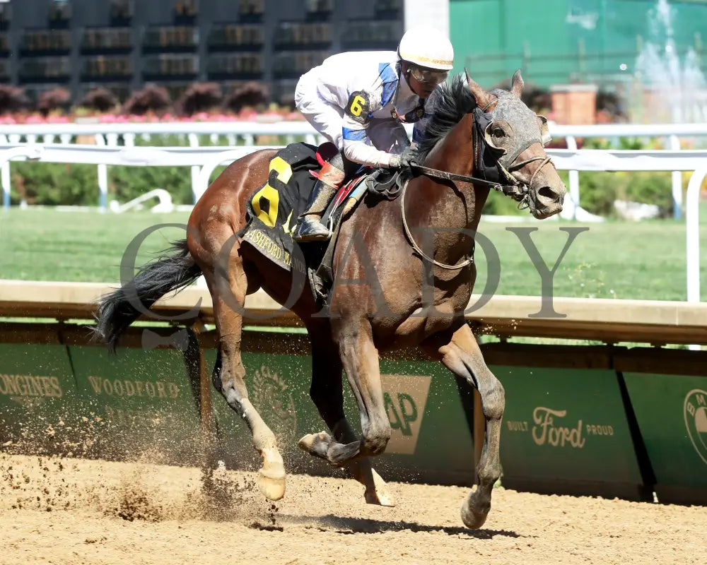 Politicallycorrect - The Bashford Manor 123Rd Running 06-30-24 R09 Cd Finish 02 Churchill Downs