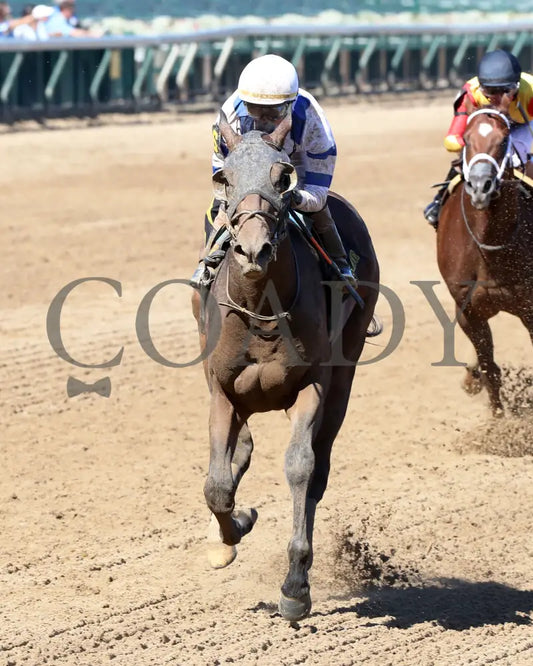 Politicallycorrect - The Bashford Manor 123Rd Running 06-30-24 R09 Cd Inside Finish 01 Churchill