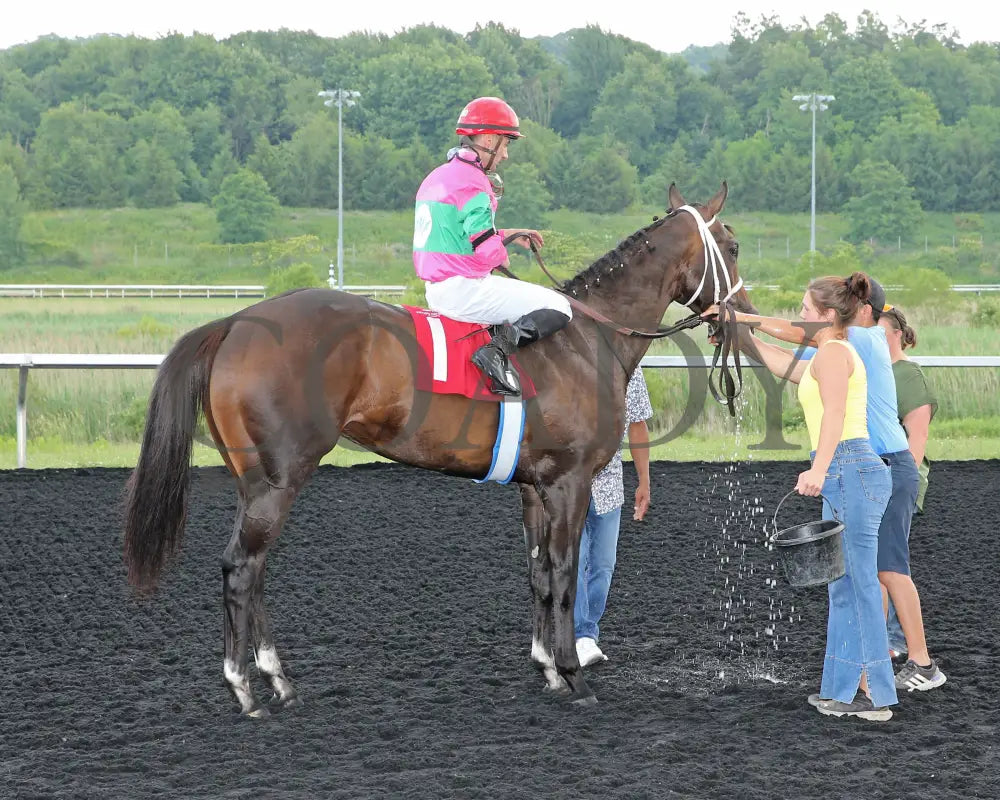 Ponce De Leon - The Tom Ridge Stakes 18Th Running 06-17-24 R07 Pid Comeback 01 Presque Isle Downs