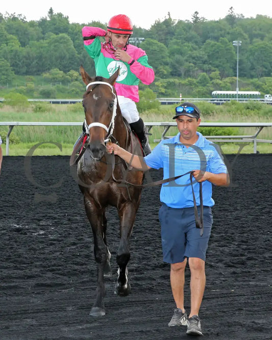 Ponce De Leon - The Tom Ridge Stakes 18Th Running 06-17-24 R07 Pid Comeback 02 Presque Isle Downs