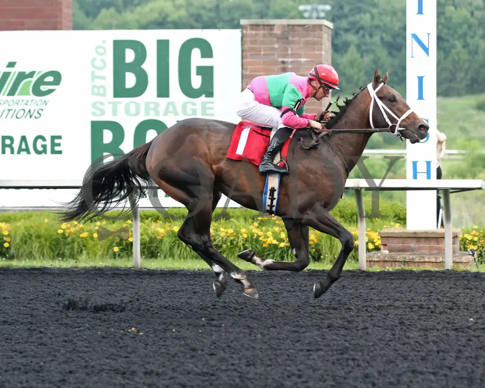 Ponce De Leon - The Tom Ridge Stakes 18Th Running 06-17-24 R07 Pid Finish Presque Isle Downs