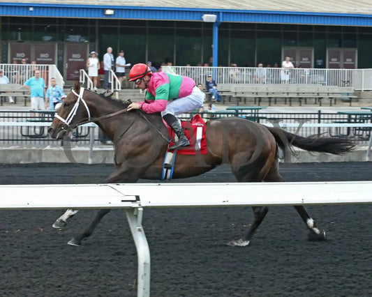 Ponce De Leon - The Tom Ridge Stakes 18Th Running 06-17-24 R07 Pid Inside Finish Presque Isle Downs