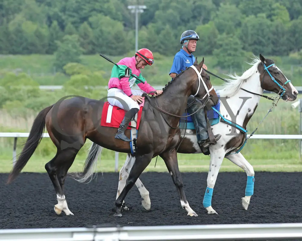 Ponce De Leon - The Tom Ridge Stakes 18Th Running 06-17-24 R07 Pid Post Parade Presque Isle Downs