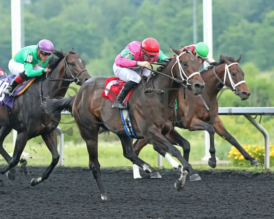 Ponce De Leon - The Tom Ridge Stakes 18Th Running 06-17-24 R07 Pid Tight Finish Presque Isle Downs