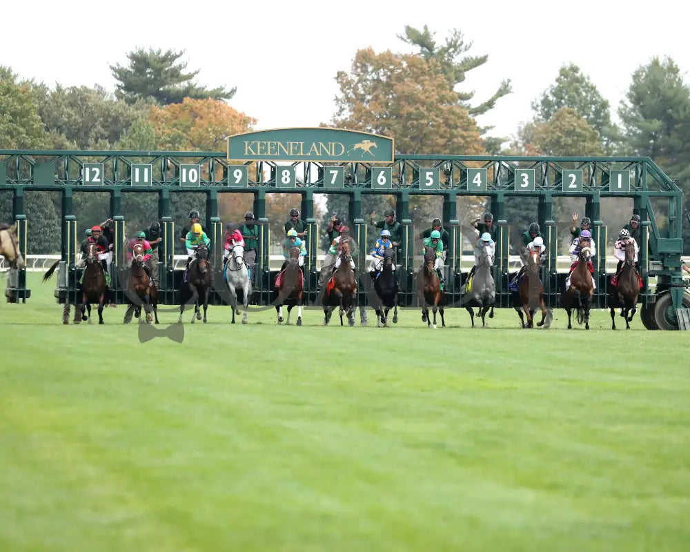 Poolside With Slim - The Bank Of America Valley View G2 34Th Running 10-25-24 R09 Keeneland Race