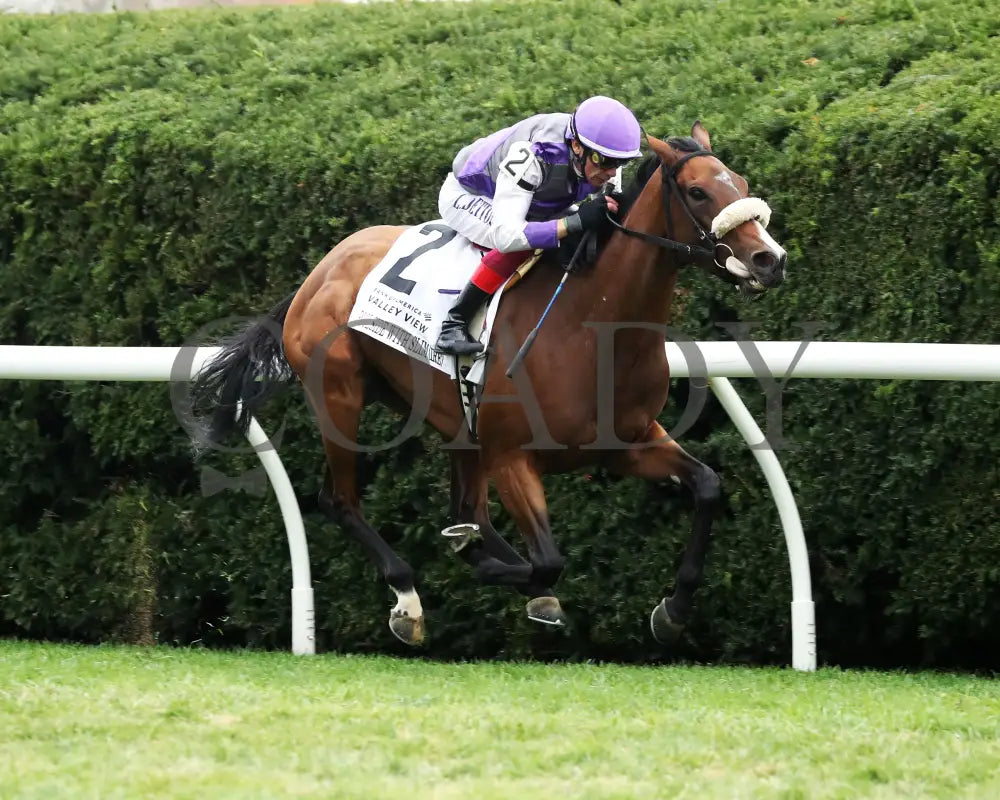 Poolside With Slim - The Bank Of America Valley View G2 34Th Running 10-25-24 R09 Keeneland Race