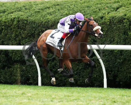 Poolside With Slim - The Bank Of America Valley View G2 34Th Running 10-25-24 R09 Keeneland Race